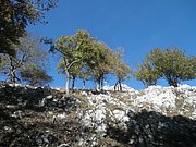PA140084.JPG