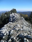 PA140088.JPG