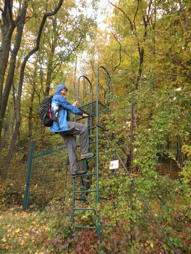 PA170149.JPG