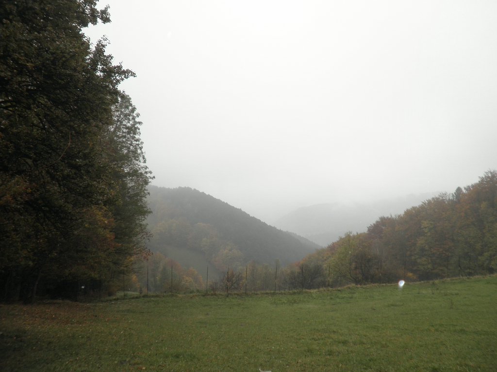 PA170151.JPG