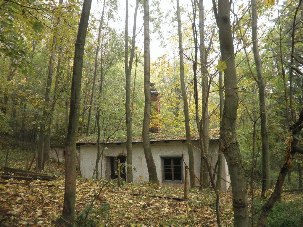 PA170152.JPG