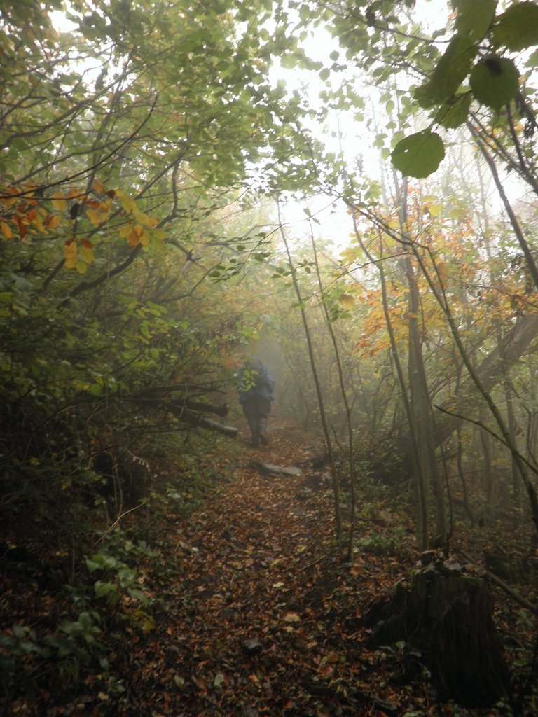 PA170154.JPG