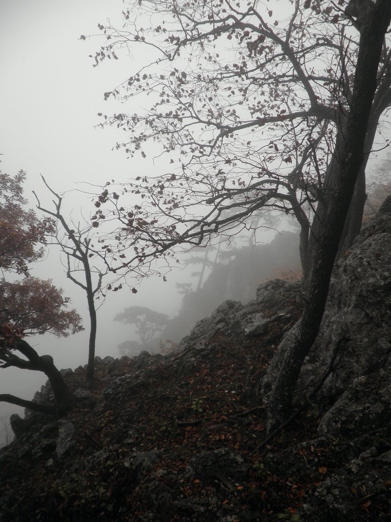 PA170163.JPG