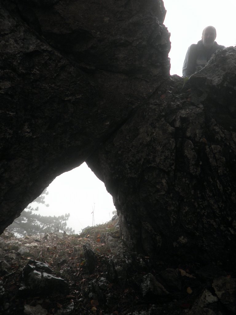 PA170167.JPG