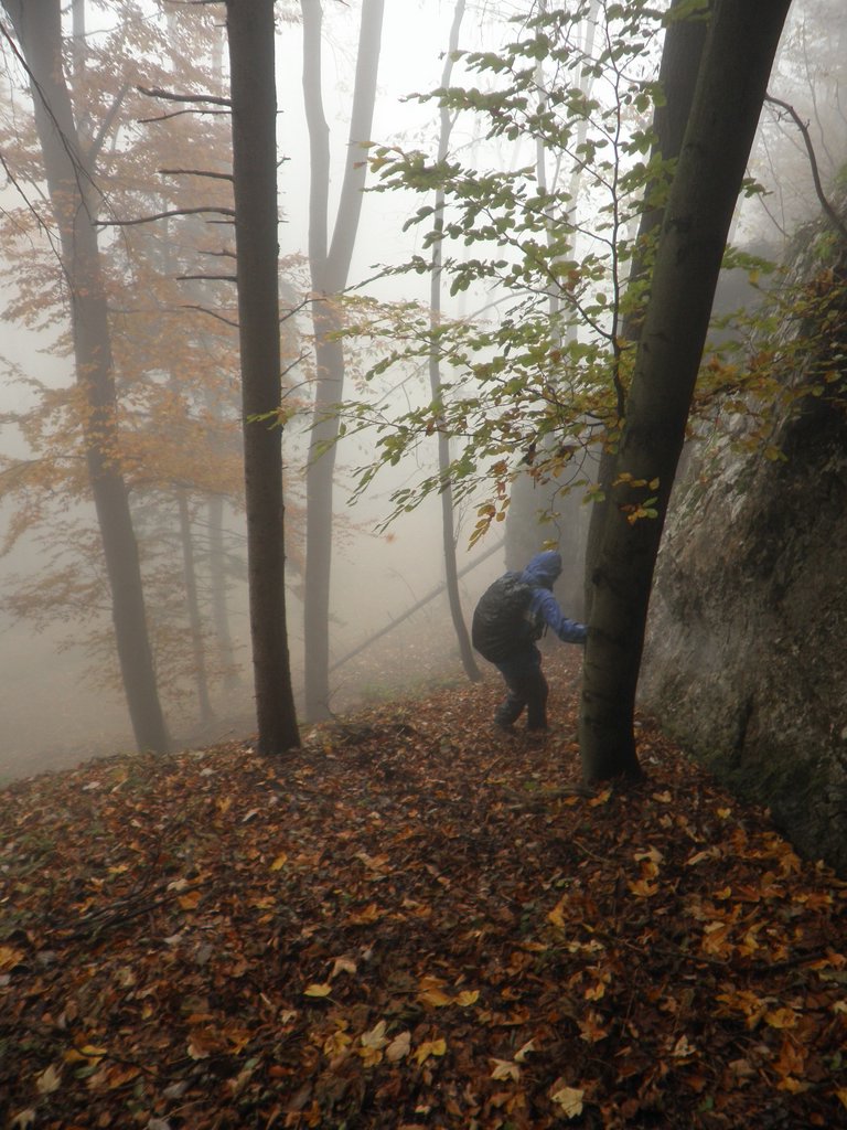 PA170168.JPG