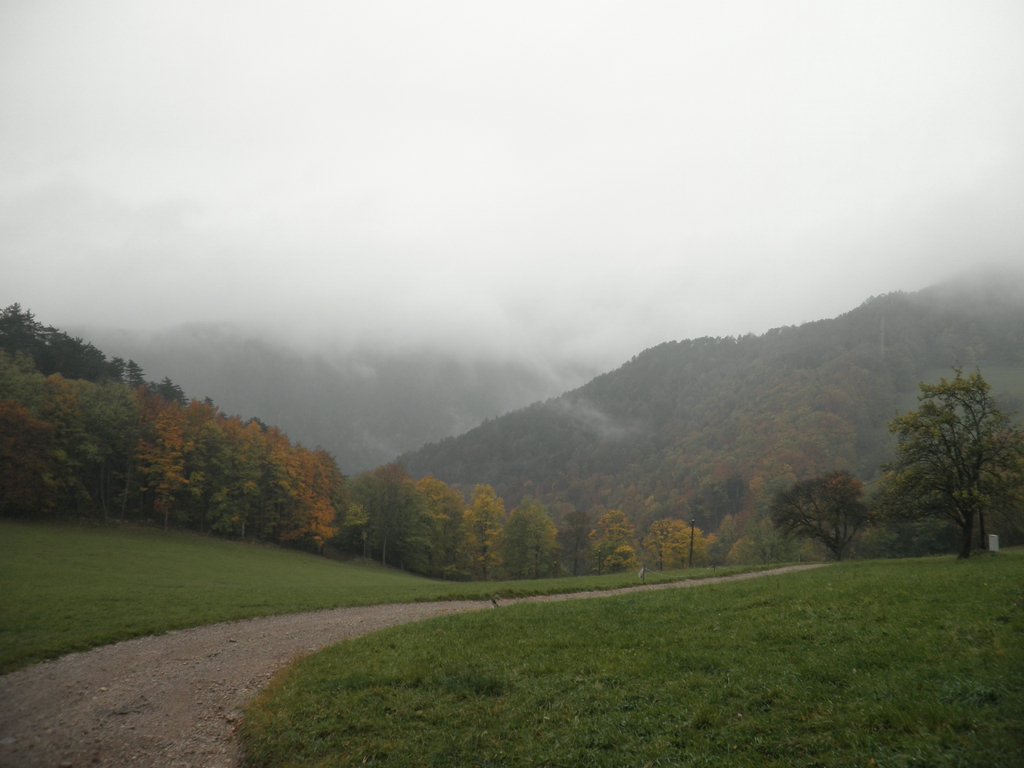 PA170172.JPG