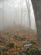 PA170156.JPG
