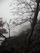 PA170163.JPG