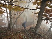 PA170164.JPG
