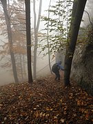 PA170168.JPG