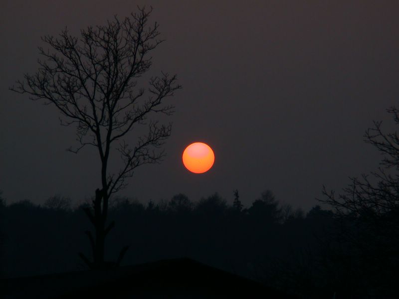 DSCN4763.JPG
