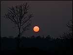 DSCN4763.JPG