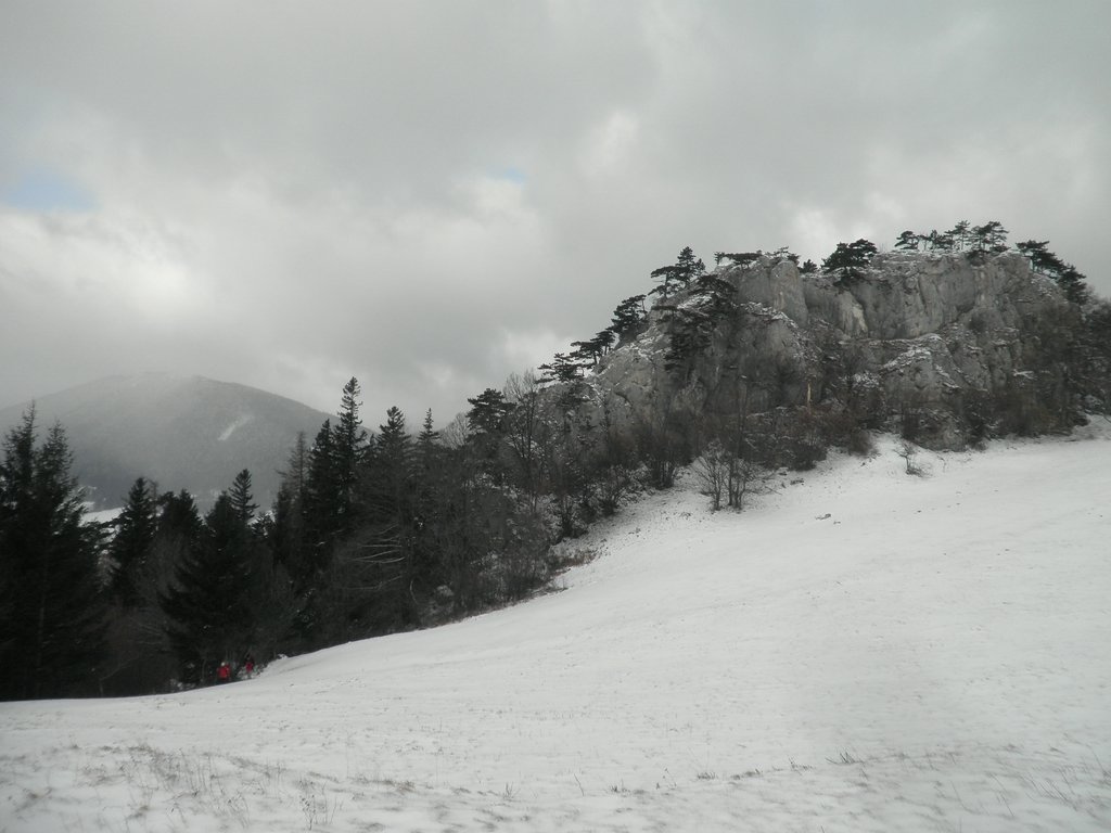 P1220014.JPG