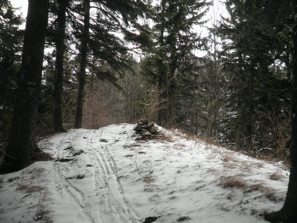 P1220018.JPG