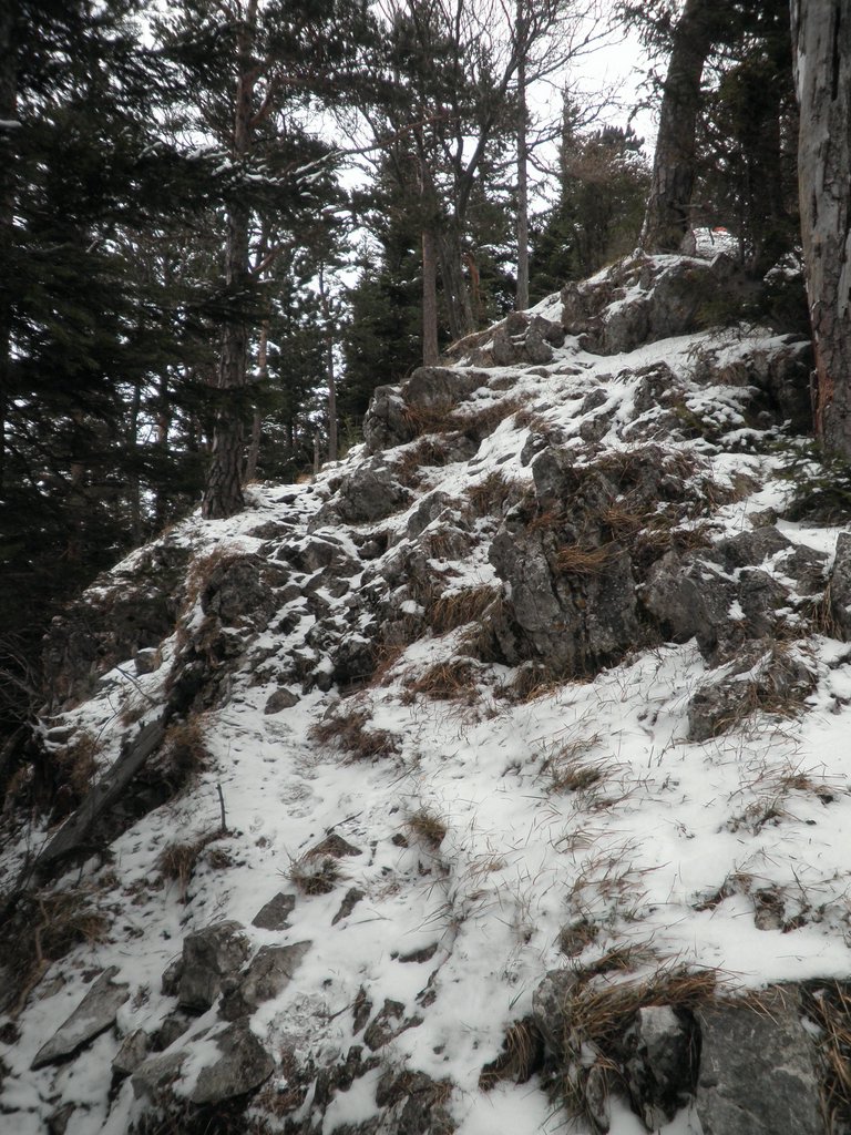 P1220019.JPG