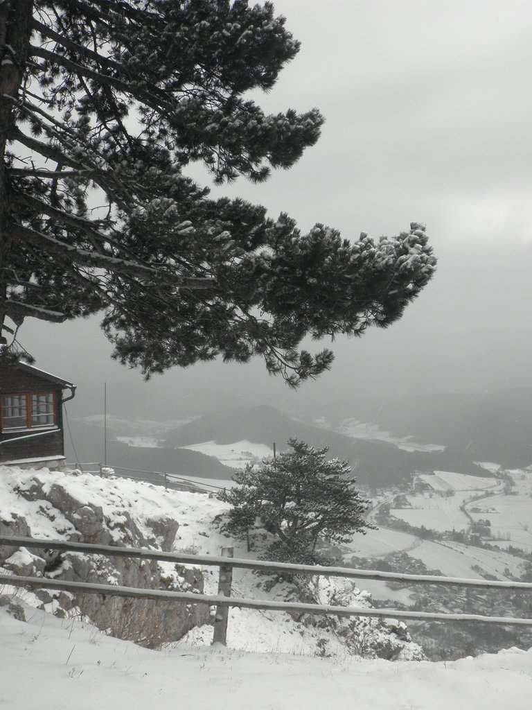 P1220035.JPG
