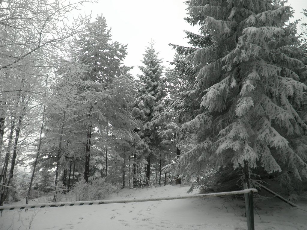 P1220067.JPG