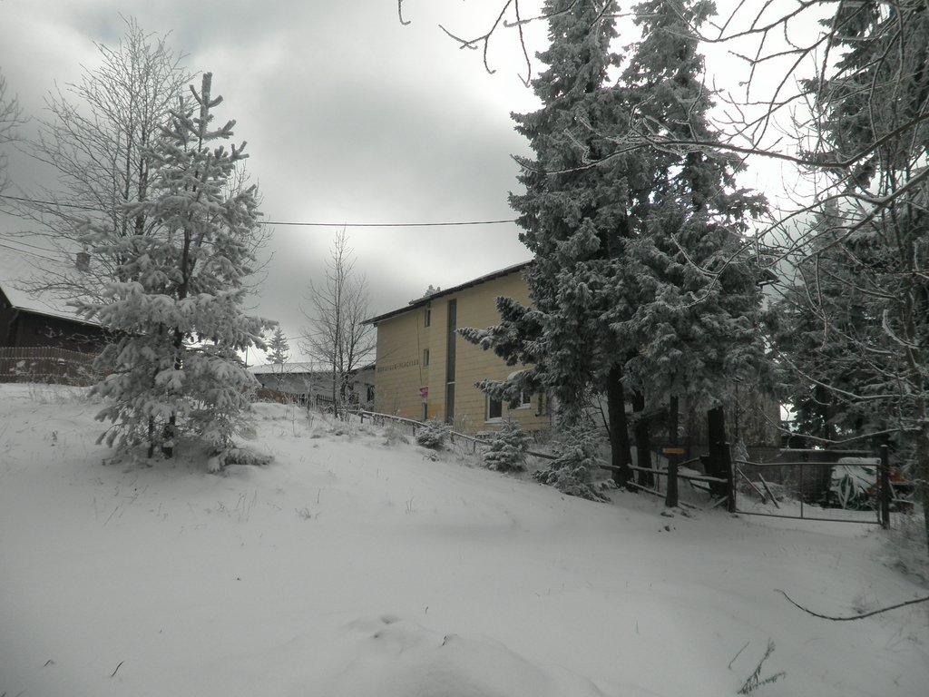 P1220071.JPG