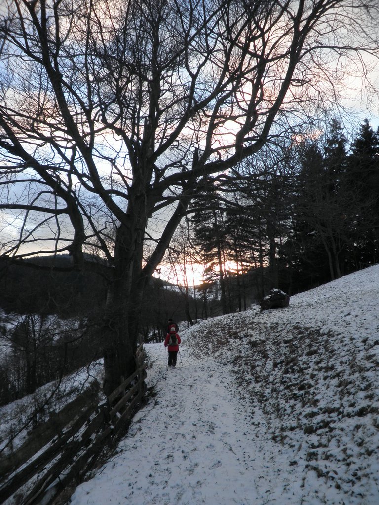 P1220099.JPG