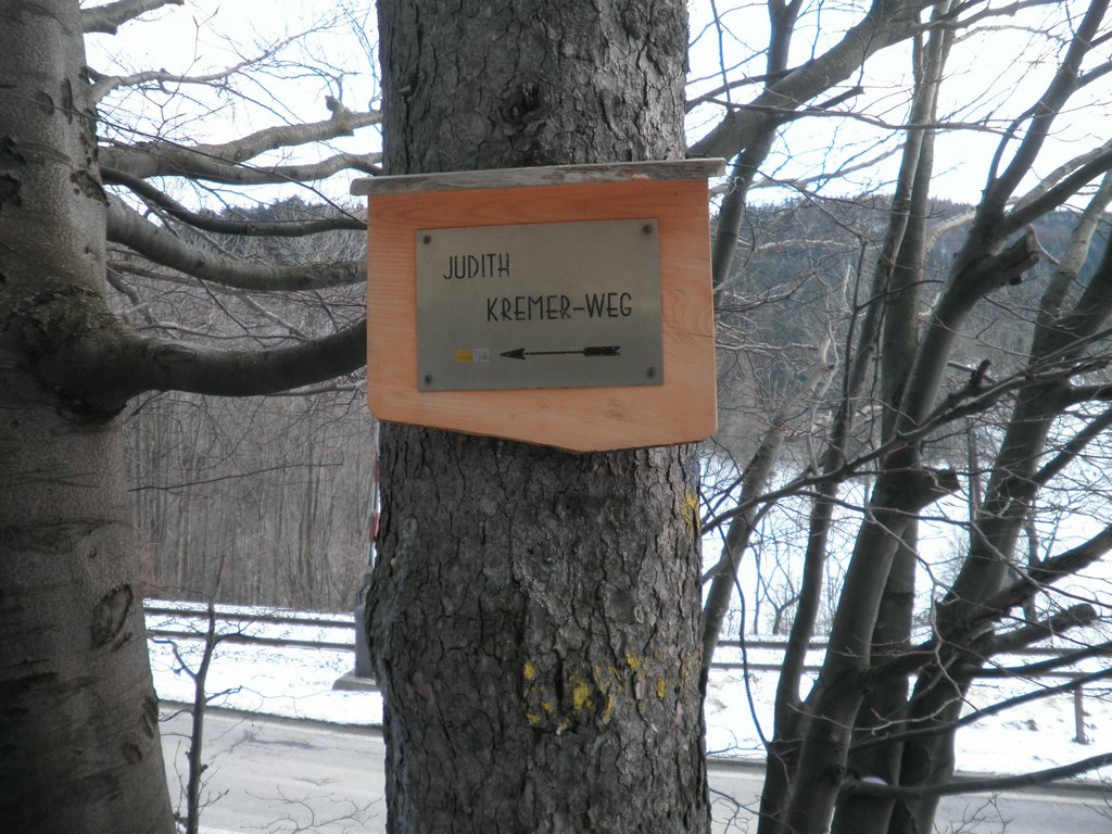 P1220100.JPG