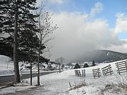 P1220001.JPG