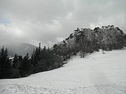 P1220014.JPG