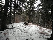 P1220018.JPG