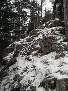 P1220019.JPG