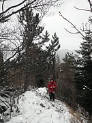 P1220020.JPG