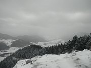 P1220028.JPG