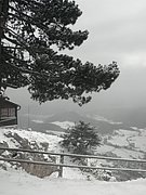 P1220035.JPG