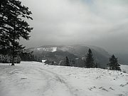 P1220036.JPG