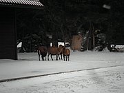 P1220049.JPG