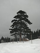 P1220052.JPG