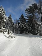 P1220056.JPG