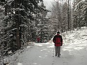 P1220061.JPG