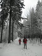 P1220066.JPG