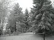 P1220067.JPG
