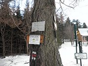 P1220081.JPG