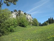 P5070039.JPG