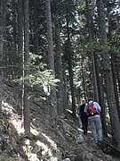 P5070044.JPG
