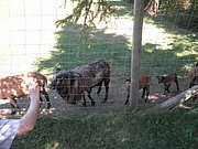 P5070072.JPG