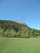 P5070079.JPG