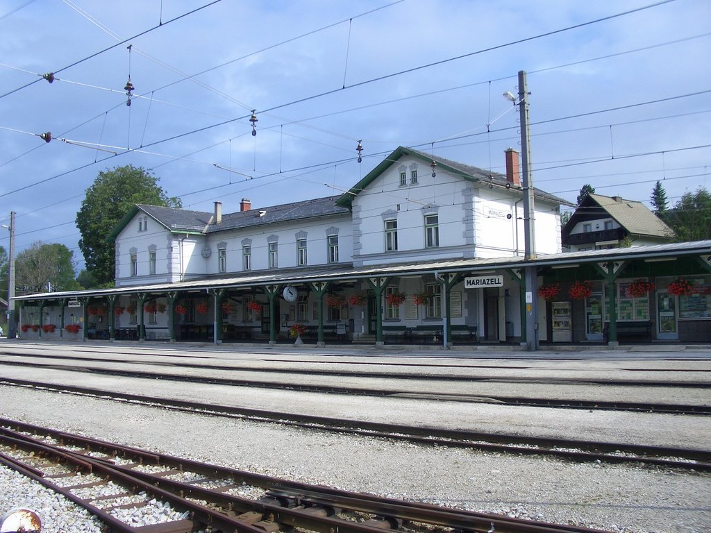 CIMG2107.JPG