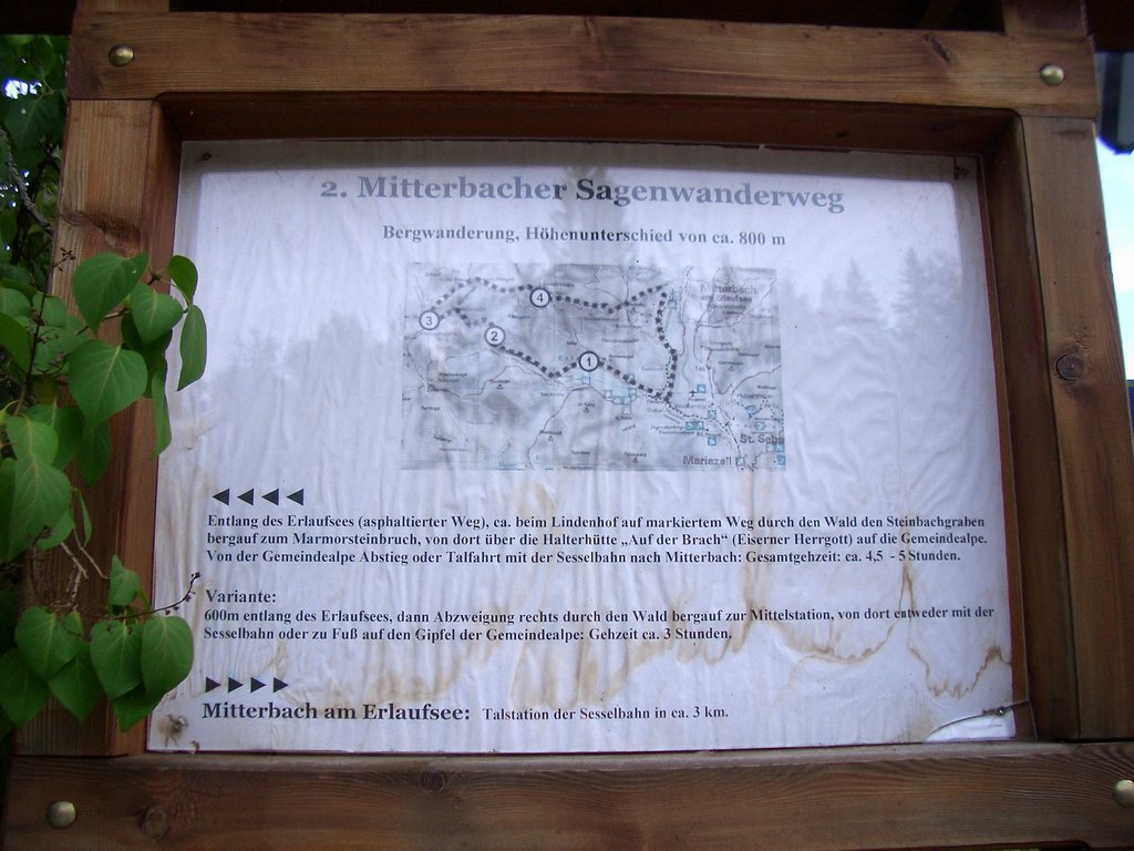 CIMG2116.JPG