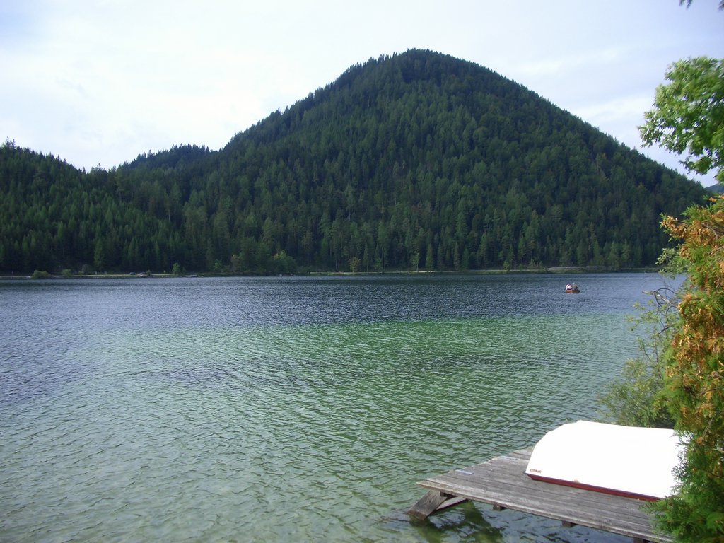CIMG2117.JPG
