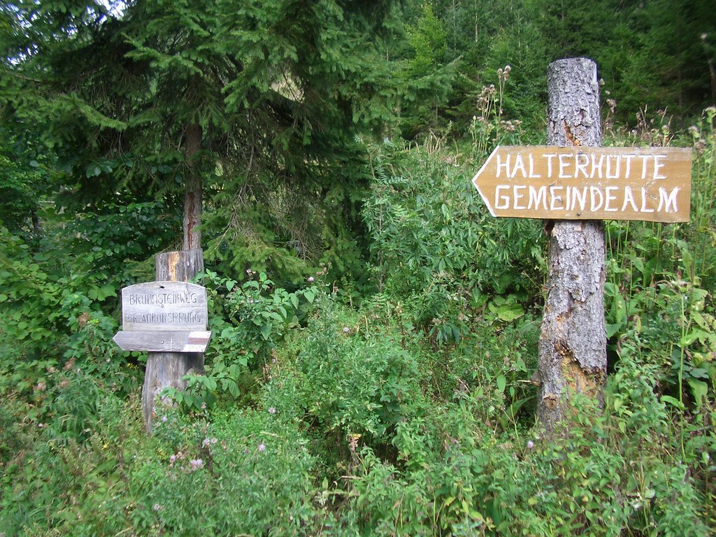 CIMG2126.JPG