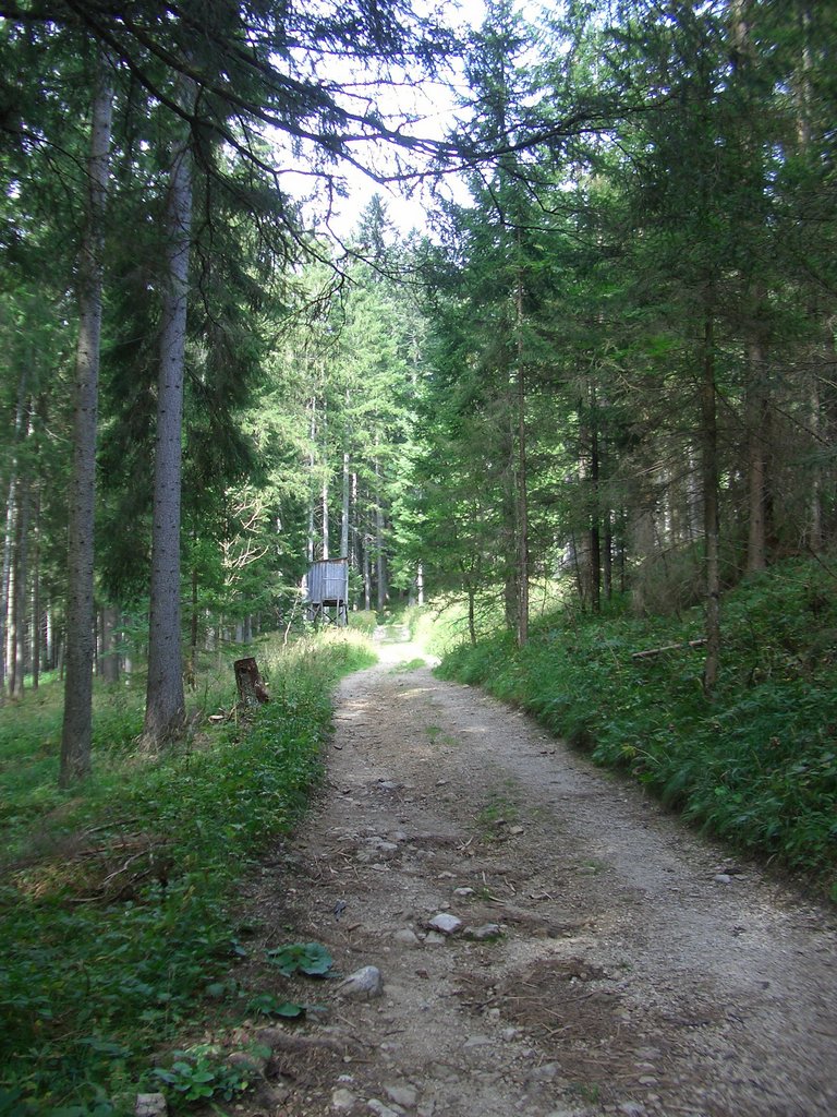 CIMG2127.JPG