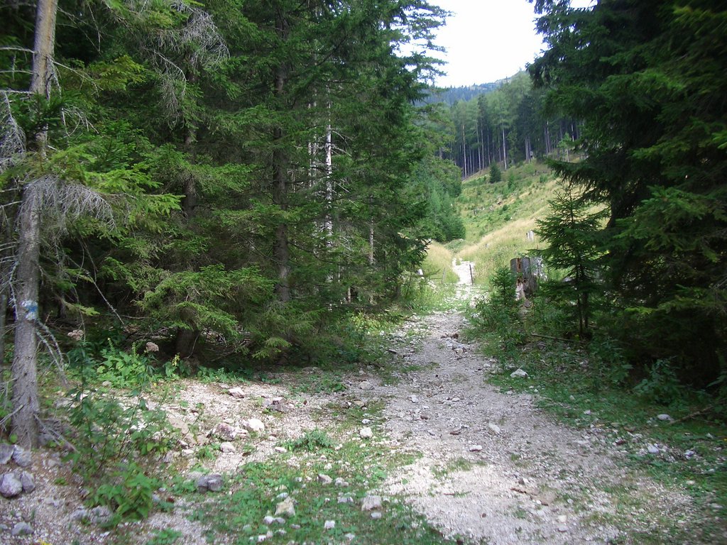 CIMG2132.JPG