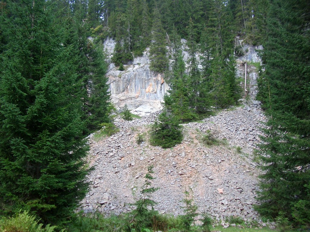 CIMG2147.JPG